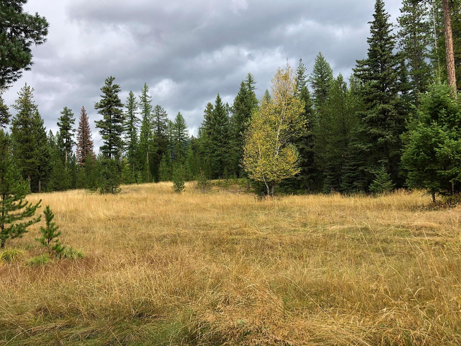 187 Glacier Hills Dr E, Martin City, MT 59926 Zillow