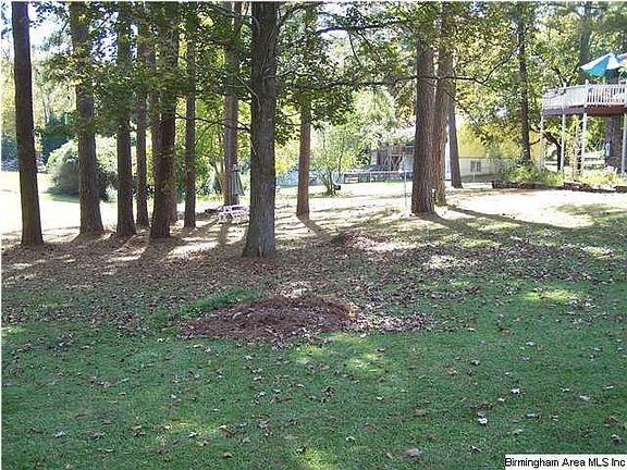 A VIEW OF THE BACK YARD