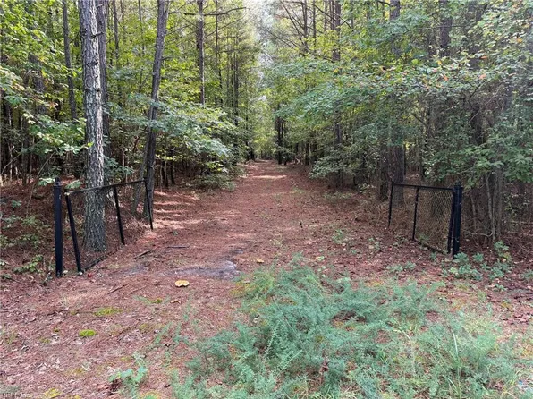 PARCEL Dripping Springs Rd, Dendron, VA 23839