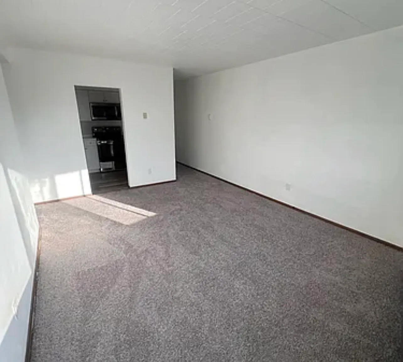 1 bed, $1,050 — Photo 4