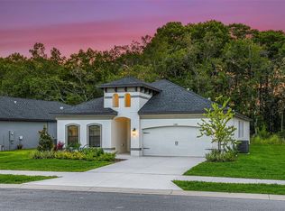 11335 Striped Bass Ct, New Port Richey, FL 34654