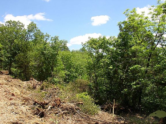 3rd image of Antler Ridge Tract #6