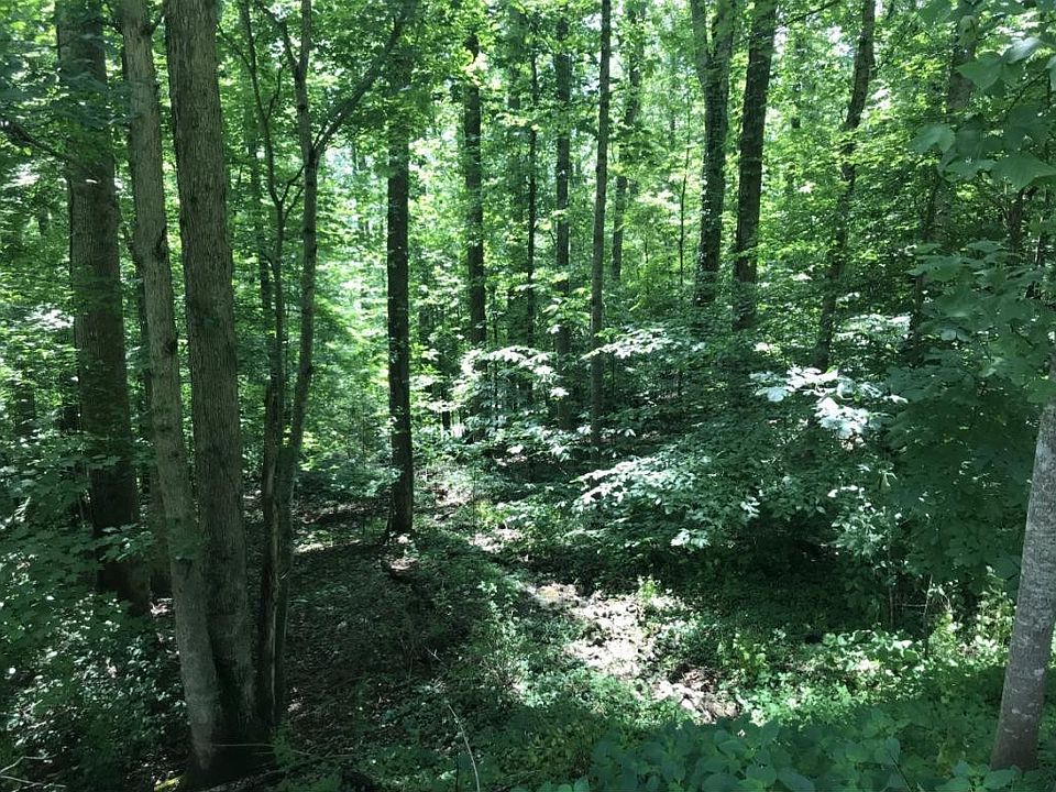 2nd image of Wedgewood Dr