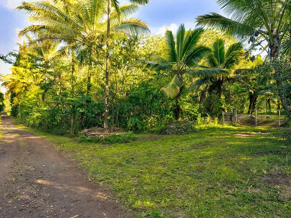 Papaya Farms Rd Lot 26, Pahoa, HI 96778