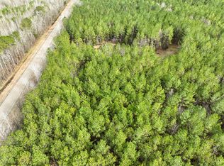 Highway 82, Mathews, AL 36052