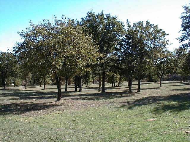 1st image of 9303 Benny Bruce St Lot 11