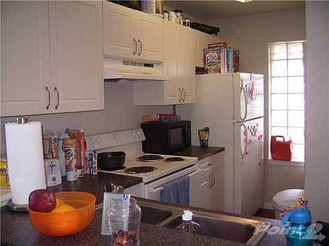4th image of 4847 Via Palm Lks APT 1022