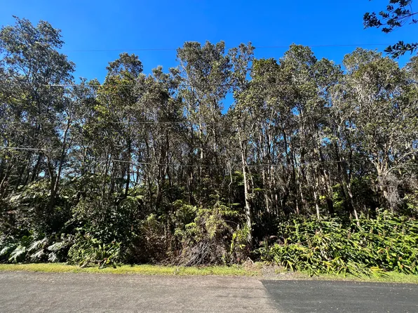 11-3858 4th St Lot 347, Volcano, HI 96785