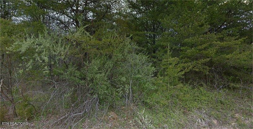 1st image of 525 Brave Ln Lot 67