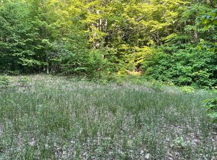 Trail #21, Mancelona, MI 49659