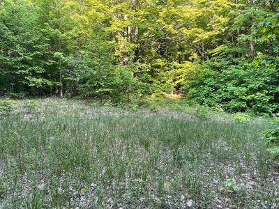 Trail #21, Mancelona, MI, 49659