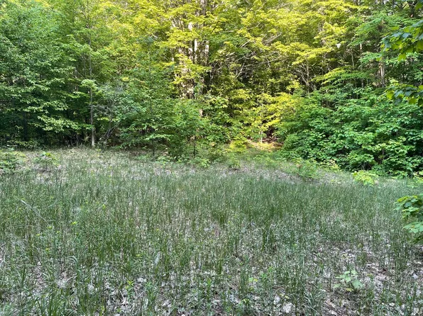 Trail #21, Mancelona, MI 49659