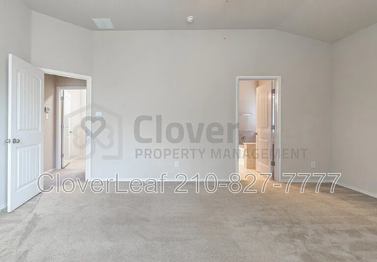 3734 Ox Eye Daisy — Photo 22