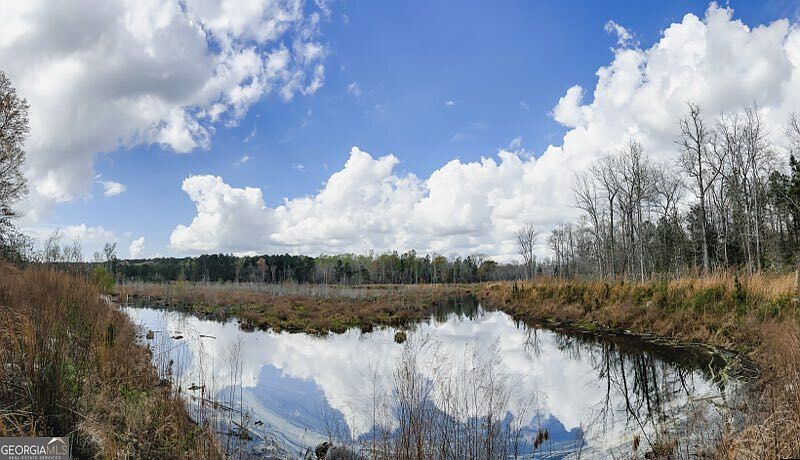 1st image of 0 Hiltonia-perkins Rd