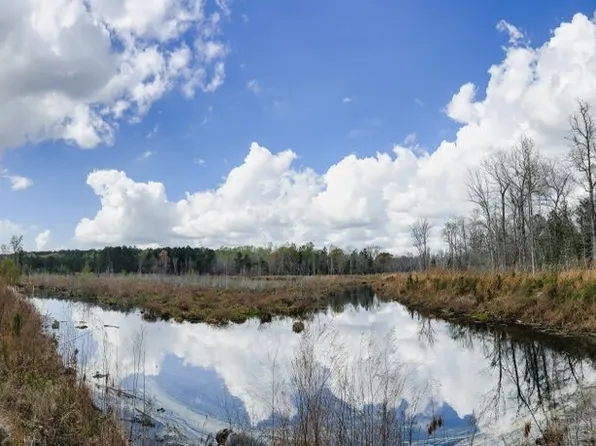 0 Hiltonia-perkins Rd, Sylvania, GA 30467