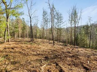 0 Nimblewill Church Rd #1, Dahlonega, GA 30533