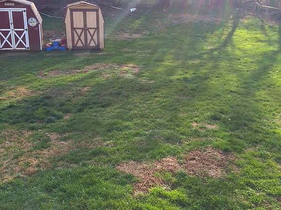 942d5ca1-5268-4f31-b299-3e8332003e78