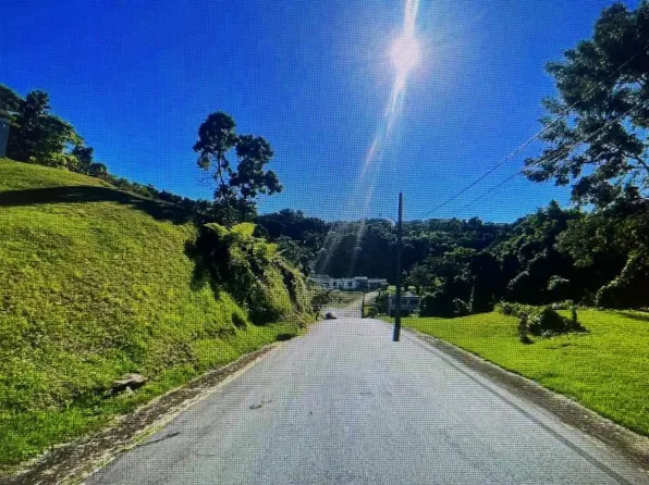 Lote 17 Cam Los Rivera Cupey Alto, San Juan, PR 00927