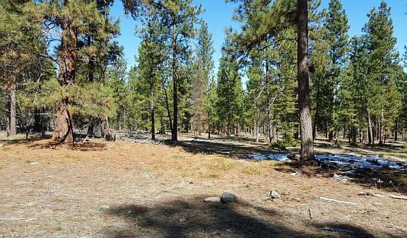 3rd image of Nhn Two Horse Ln