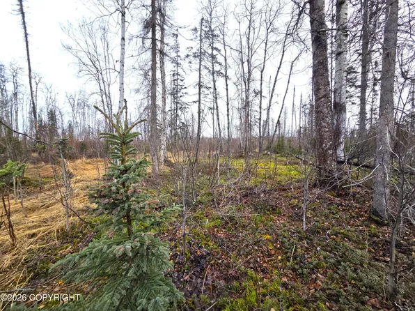 17669 E Yeldarb Ave, Talkeetna, AK 99676