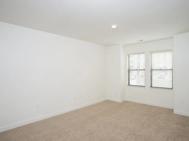 Park South — Photo 16