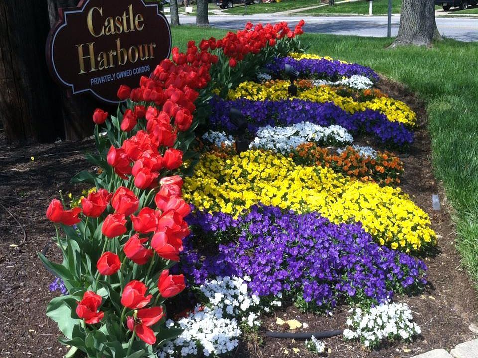 1st image of 1108 Castle Harbour Way