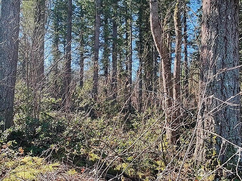 3rd image of 355 xx 312th ST Way SE