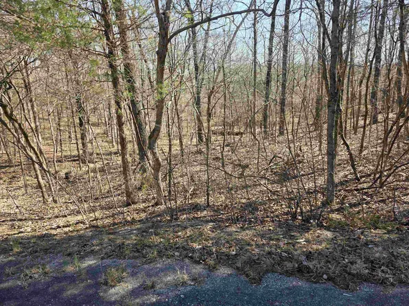 L16-B8 Lochloosa Dr, Cherokee Village, AR 72529