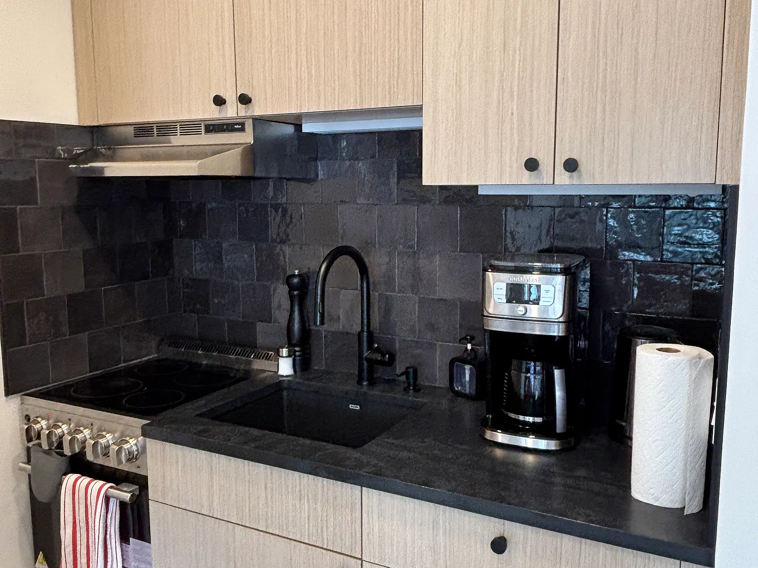 Studio, 355 sqft, $3,995 — Photo 4