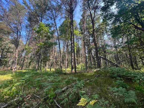 Eileen Ln, Lyndon Station, WI 53944