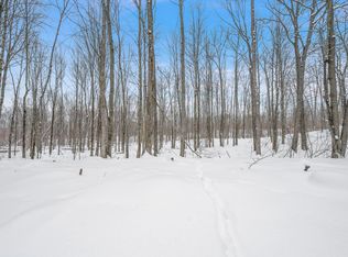 5516 E 68th St, Chase, MI 49623