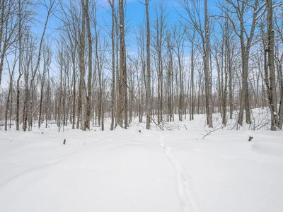 5516 E 68th St, Chase, MI, 49623