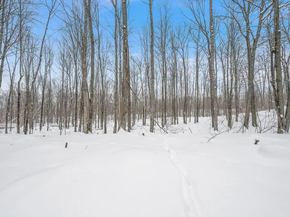 5516 E 68th St, Chase, MI 49623