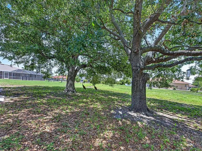 7510 Ligustrum — Photo 21