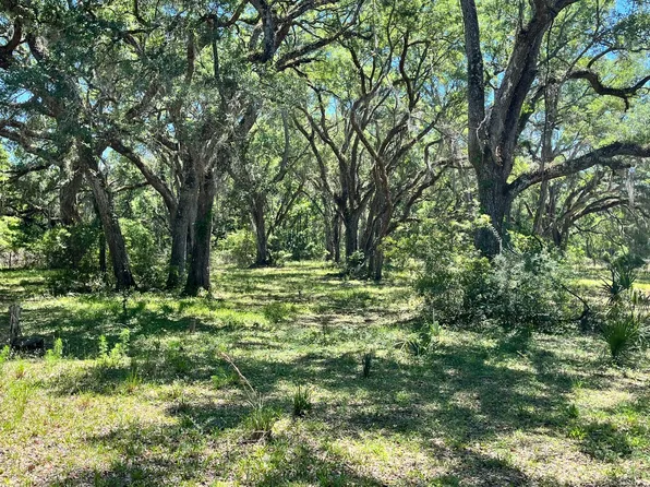 0 NE 262nd Ave, Old Town, FL 32680