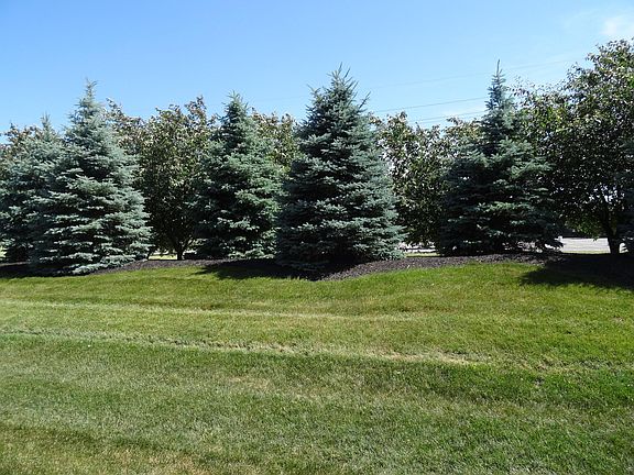 View from the front door