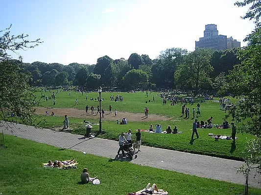 Rented by Urban Pads | media 11