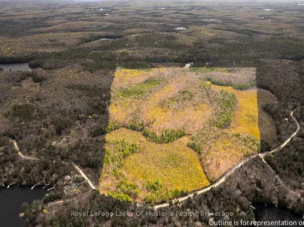 1356 Dickie Lake Rd, Lake Of Bays, ON P0B 1A0