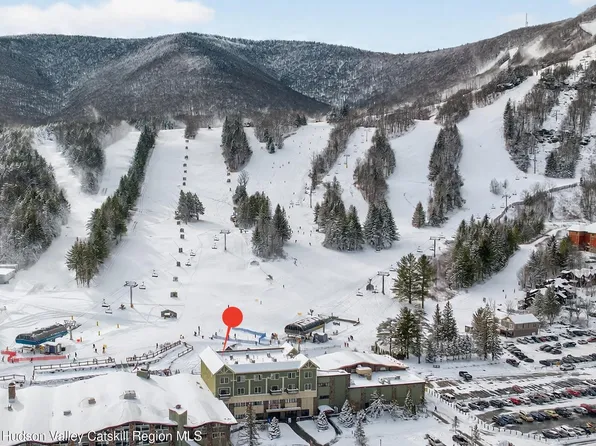 64 Klein Avenue #507, Hunter, NY 12442