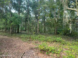 126 WILLOW Lane, Hawthorne, FL 32640