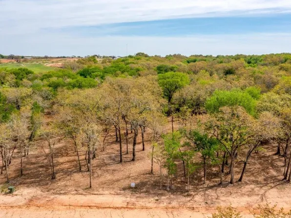 1017 Annabelles Ave, Weatherford, TX 76087