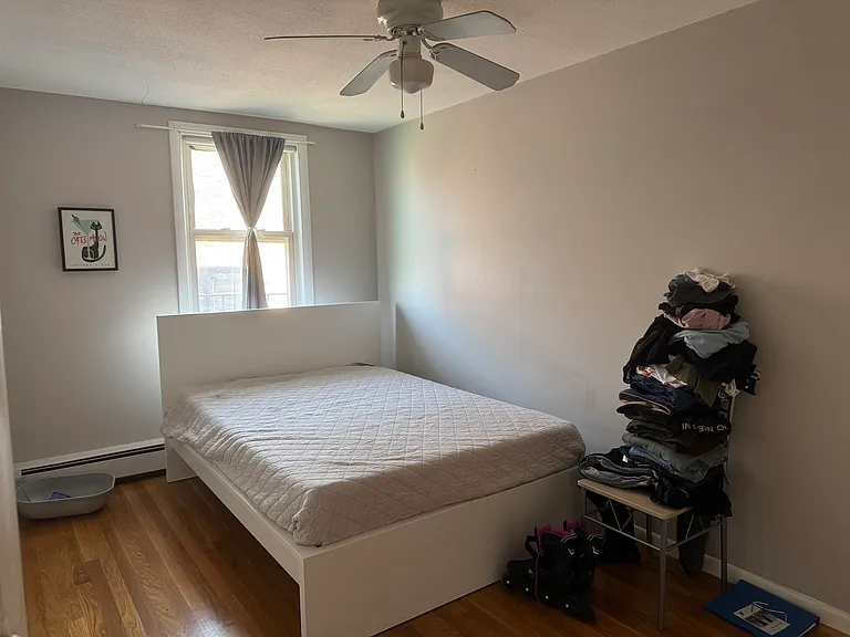137 Havre St #3 — Photo 5