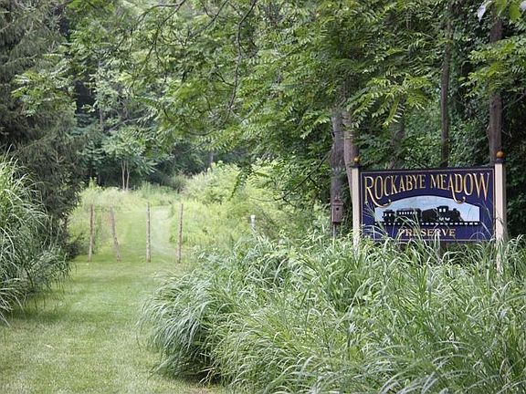 Parkland next to development