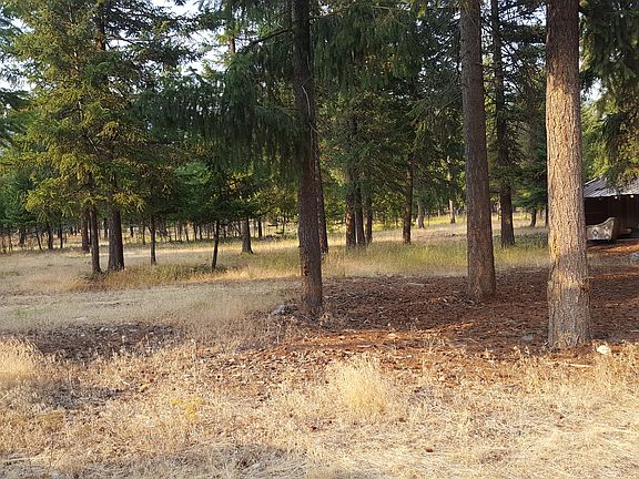 Facing N from the House