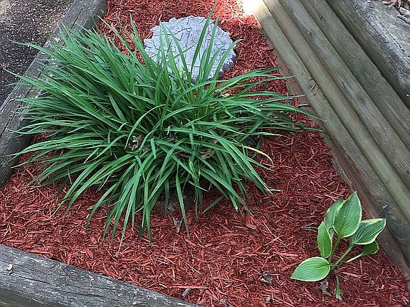 Front landscaping