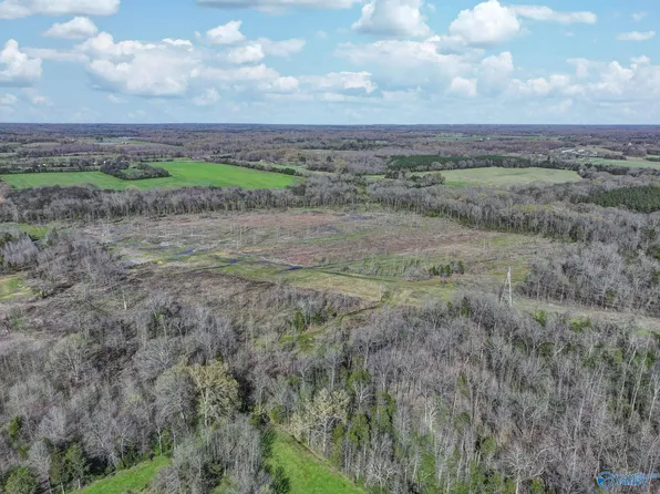 120/ACRE S County Road 39, Mount Hope, AL 35651