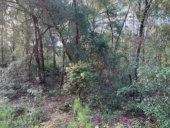 5th image of 127 SOUTH Drive