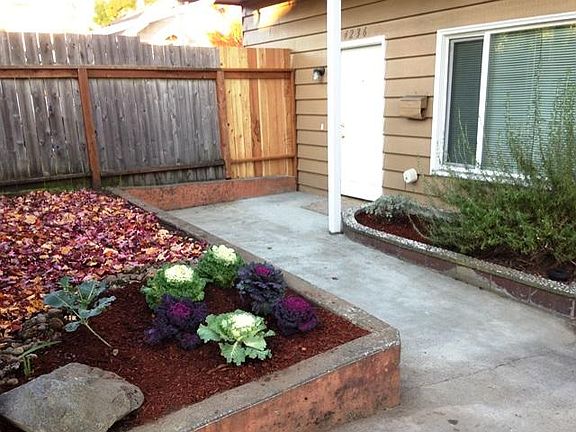 Private courtyard not shared with rest of building, productive garden space and patio