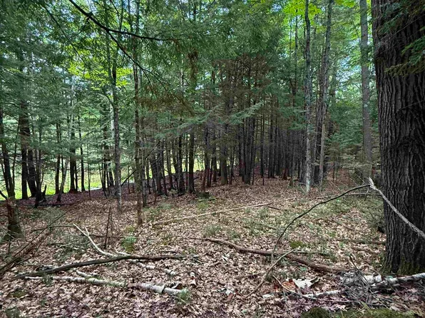 Deer Ln, Pelican Lake, WI 54463
