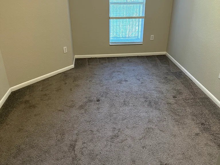 2421 W Horatio St #830 — Photo 12